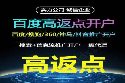 百度竞价赚钱技巧：案例分析